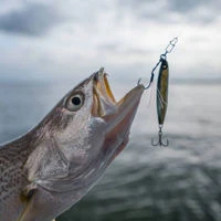 Mustad Mezashi Casting Jigs 20g